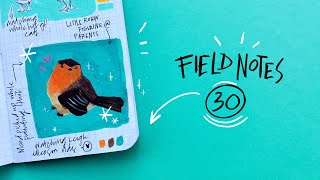 Field Notes 30 [upl. by Asilahs]