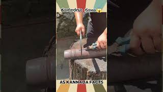 Worlds Sharpest Solid Knife  kannada facts karnataka amazing youtubeshorts trendingshorts [upl. by Arria]