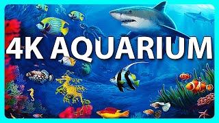 The Best 4K Aquarium for Relaxation 🐠 Relaxing Oceanscapes  Sleep Meditation 4K UHD Screensaver [upl. by Eintroc678]