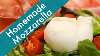 Mozzarella In Minutes  How to Make Mozzarella Cheese Quickly at Home [upl. by Bixler]