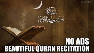 Beautiful Quran Recitation  10 Hours  No Ads [upl. by Einhpets]