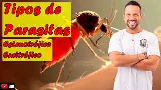 Tipos de Parasitas  Estenotrófico e Euritrófico  Parasitologia  Programa de Saúde [upl. by Smitty499]