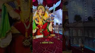 Tardeo cha Raja  Ganapati 2024 [upl. by Nylrehs]