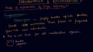 Fragmentation and Regeneration  Class 10 Biology How do Organisms Reproduce [upl. by Nylde482]