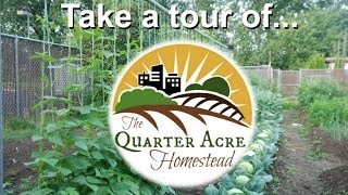 Quarter Acre Homestead Tour [upl. by Grof662]