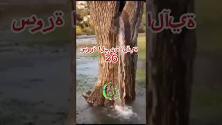 Surah Al baqarah ayat 26 Hindi translationIslamicQuranviral short video [upl. by Filia]