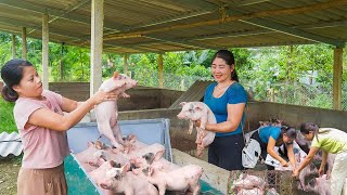 Heavy Rain and Floods Almost Washed Away the Farm  Transporting pigs for sister  Building My Farm [upl. by Nagyam]