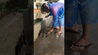 Found Culvert Clogged After Rain drain unclog remove shorts [upl. by Victorie]