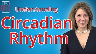 Circadian Rhythm and Intermittent Fasting explained by Dr Boz [upl. by Duleba777]