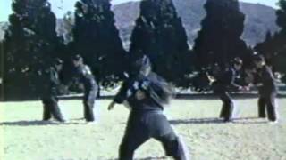 Korean Martial Arts [upl. by Sunday]