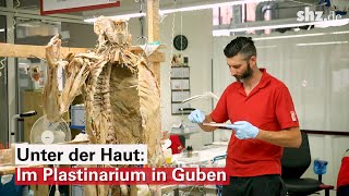 Unter der Haut Im Plastinarium in Guben werden Leichen für die KÖRPERWELTEN präpariert [upl. by Leverett50]