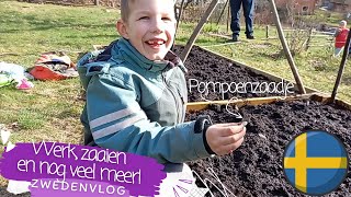 Werk zaaien en nog veel meer in Zweden  Werken in Zweden  Moestuin  Meer zelfvoorzienend leven [upl. by Langer]