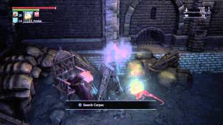 Bloodborne Arianna Quest Line 13 of umbilical Cord [upl. by Sig466]