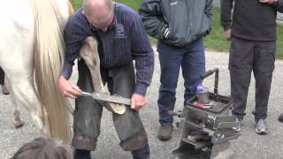 Farrier Quick Takes Mike Wildenstein Frog Variance And Hoof Changes [upl. by Findlay]