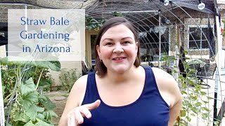 Straw Bale Gardening in Arizona Low Desert [upl. by Anihcak333]