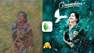 Snapseed Green And Bird Effect Photo Editing Tutorial  Snapseed Background Colour Change Tricks [upl. by Lamond]