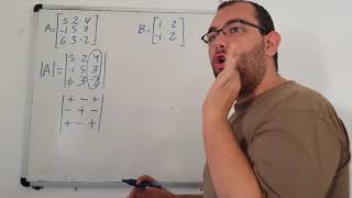 Determinantes 2x2 3x3 Método de cofactores  Algebra lineal Universidad Video 86 [upl. by Llehsram]