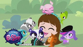 Littlest Pet Shop  Theme Song Official Music Video [upl. by Winer]