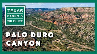 Palo Duro Canyon State Park Texas [upl. by Lettig86]