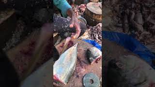 Big trevally fish cutting skillsshorts [upl. by Bornstein]