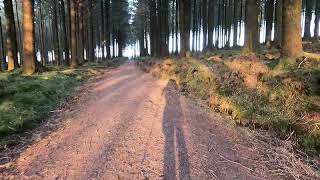 Hiking in Fernworthy forest Dartmoor 6th April 2022 [upl. by Bonnice]