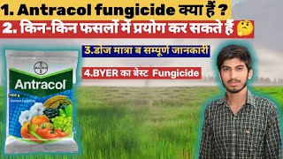 Bayer Antracol fungicide ll Propineb 70 WP How to use antracol fungicide ll [upl. by Padget]