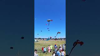 Portsmouth Kite Festival Short [upl. by Eceirtal286]