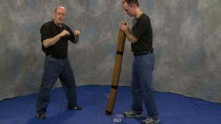 PRACTICAL UNARMED COMBATIVES VOLUMES 1 amp 2 Critical Skills of Damithurt Silat [upl. by Nylorak]