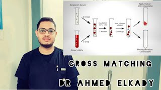 Cross Matching التوافق عملى [upl. by Artinad639]