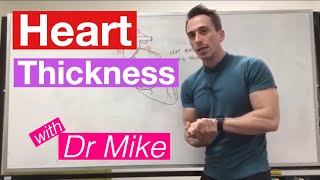 Myocardial Thickness  Cardiology [upl. by Behm17]