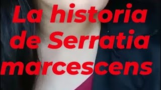 La historia de Serratia marcescens 🔴🩸📌🥀🧫 [upl. by Gillette]