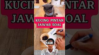 Kucing bisa jawab soal matematika maths cpns belajar [upl. by Yoral]