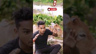 মাথা নষ্ট 😜😍🤣 Matha Nosto comedy video  Funny video  Chhota Bhai shots viralvideo trending [upl. by Esimaj]