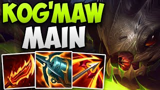 CHALLENGER KOGMAW MAIN AMAZING ADC GAMEPLAY  CHALLENGER KOGMAW ADC  Patch 1414 S14 [upl. by Meredith255]