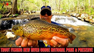 Trout Fishing New River Gorge National Park amp Preserve [upl. by Hallvard]