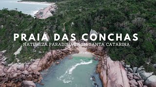 PRAIA DAS CONCHAS  Governador Celso Ramos  NATUREZA paradisíaca em SANTA CATARINA [upl. by Inait]