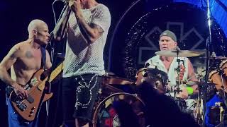 Red Hot Chili Peppers  Otherside live  Rio de Janeiro 04112023 [upl. by Lomasi]