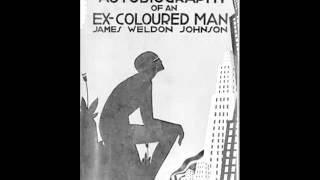 The Autobiography of an ExColored Man FULL Audiobook [upl. by Luapsemaj]