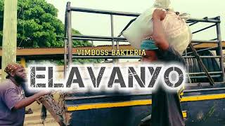 VimBoss Bakteria  ELAVANYO  Official Visual [upl. by Avad272]