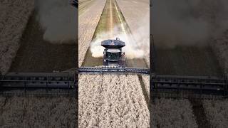 FENDT 10T BIG BLACK COMBINE HARVESTER harvest2023 agriculture [upl. by Anatnas]