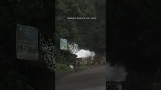 darjeeling travel darjeelingtourism darjeelinghill nature darjeelingtourguid [upl. by Iatnahs]