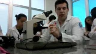 aula de hematologia clínica  Diferenciação de Leucemias Prof Matias Frizzo [upl. by Elicia]