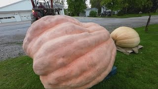 Gigantic Geauga County pumpkins on display at Huntsburg Pumpkin Festival [upl. by Odnuges]