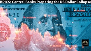 BRICS Nations Central Banks Gear Up for the Collapse of US Dollar [upl. by Clercq]