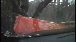 Evo vs Chicane  2009 Targa Tasmania rally crash [upl. by Giacinta]