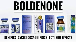 Boldenone Benefits  Cycle  Dosage  Price  Pct  Side Effects  Etc [upl. by Ilah]