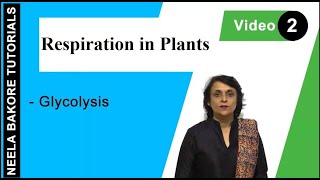 Respiration in Plants  NEET  Glycolysis  Neela Bakore Tutorials [upl. by Rennold]