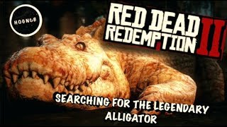 Red Dead Redemption 2 SEARCHING FOR LEGENDARY ALLIGATOR [upl. by Yahc685]