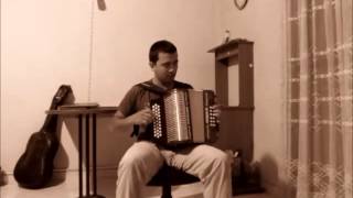 Swallowtail Jig  Diatonic Accordion Cover [upl. by Nimajnab85]