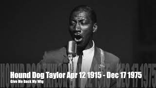 Hound Dog Taylor Give Me Back My Wig [upl. by Ardehs]